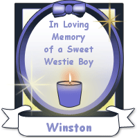Westie Candle